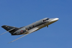Falcon-10-2061