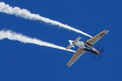 P51-Mustang-2244